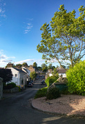 19th Jun 2019 - Looking down our street