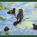  Five young Moorhens being fed. by grace55