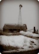 7th Jan 2011 - Winter Windmill