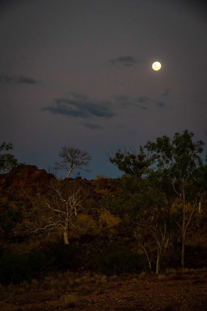 Moonrise over the Bungle Bungle by pusspup