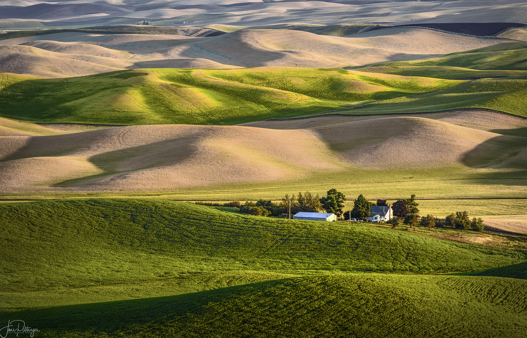 Farm Nestled In the Hills Of the Palouse by jgpittenger