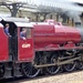 The Big Red Engine goes to the Seaside by fishers