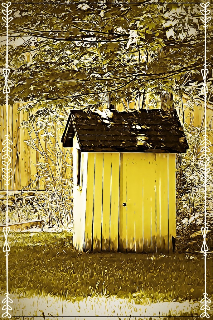 An Outhouse at Millbrook Village by olivetreeann