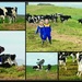 Farmer Girls.. by julzmaioro