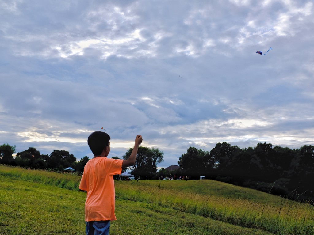 Kite Flying by ramr