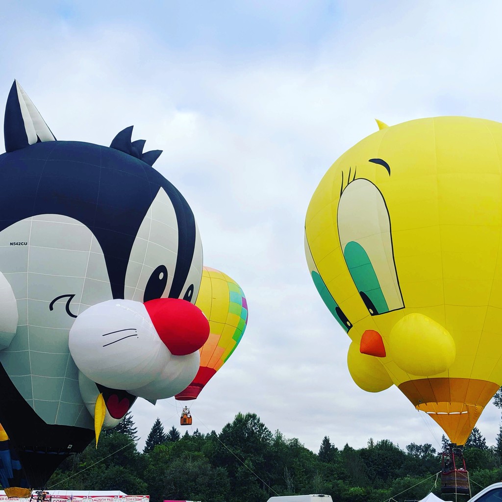 Tigard Hot Air Balloons by gq