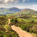 Conwy Mountain by shepherdmanswife