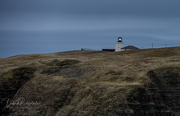 6th Jun 2019 - Cape St Mary’s Lighthouse 