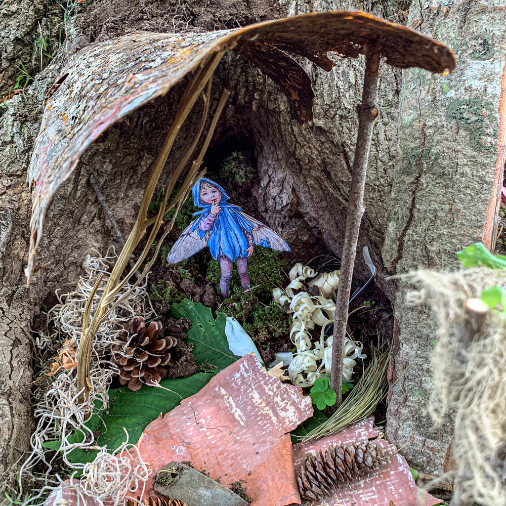 Fairy Houses today by berelaxed