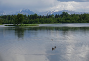 9th Jun 2019 - Westchester Lagoon, Anchorage