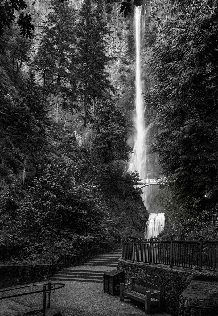 Black and White Multnoma Falls Before the Fire by jgpittenger