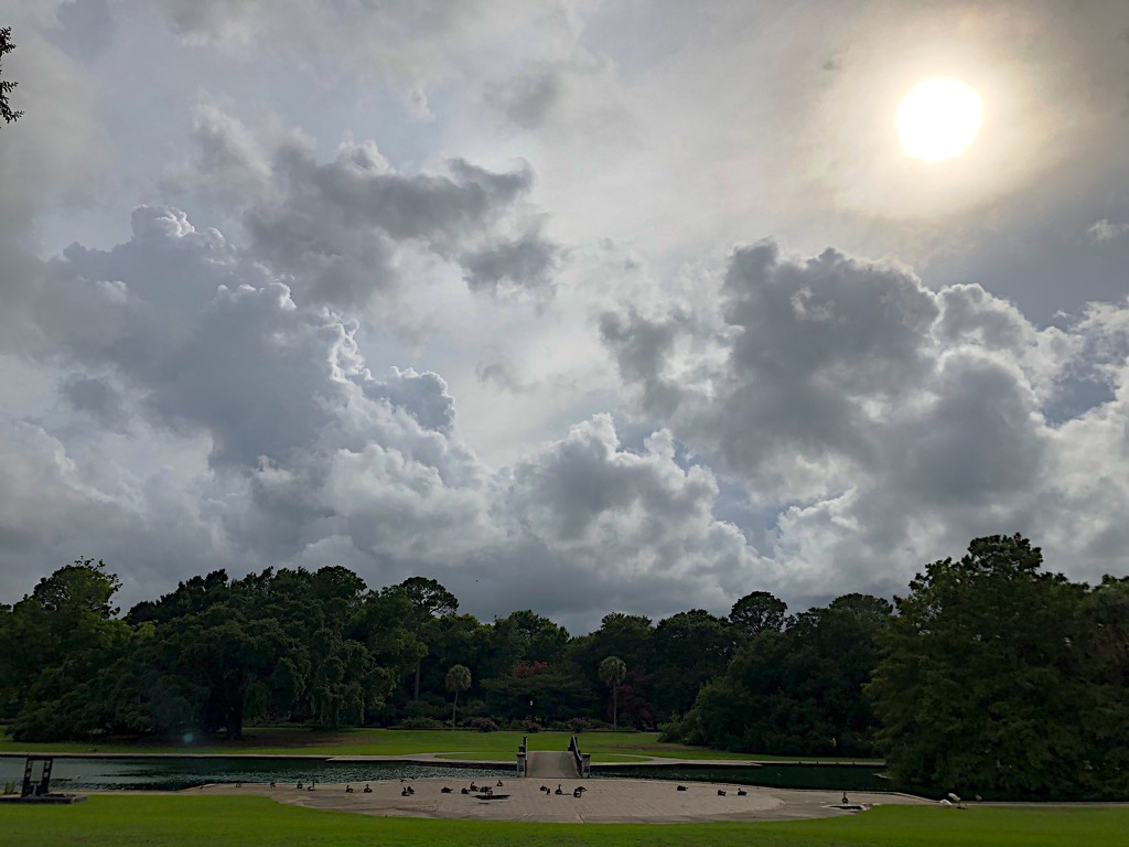 Late afternoon sky, Hampton Park, Charleston  by congaree