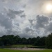 Late afternoon sky, Hampton Park, Charleston  by congaree