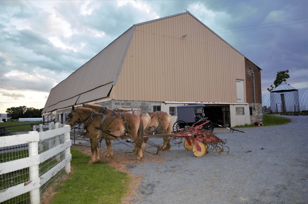 Amish Farm by chejja