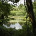 Moor Pond - Papplewick by oldjosh