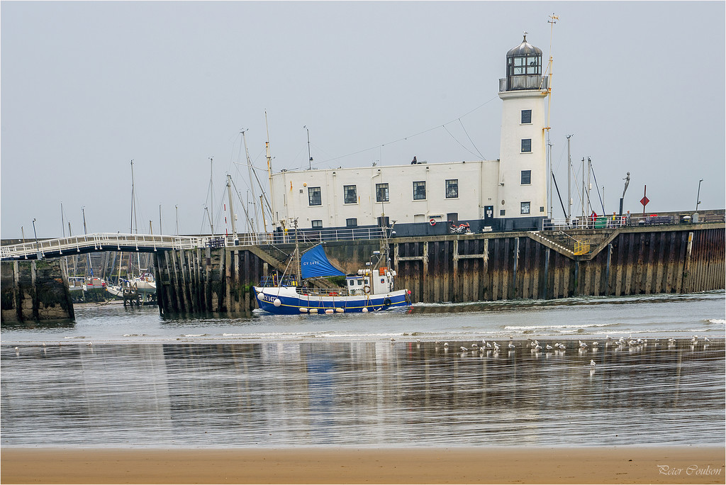 Returning to Whitby by pcoulson