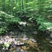 Connecticut Stream by wilkinscd