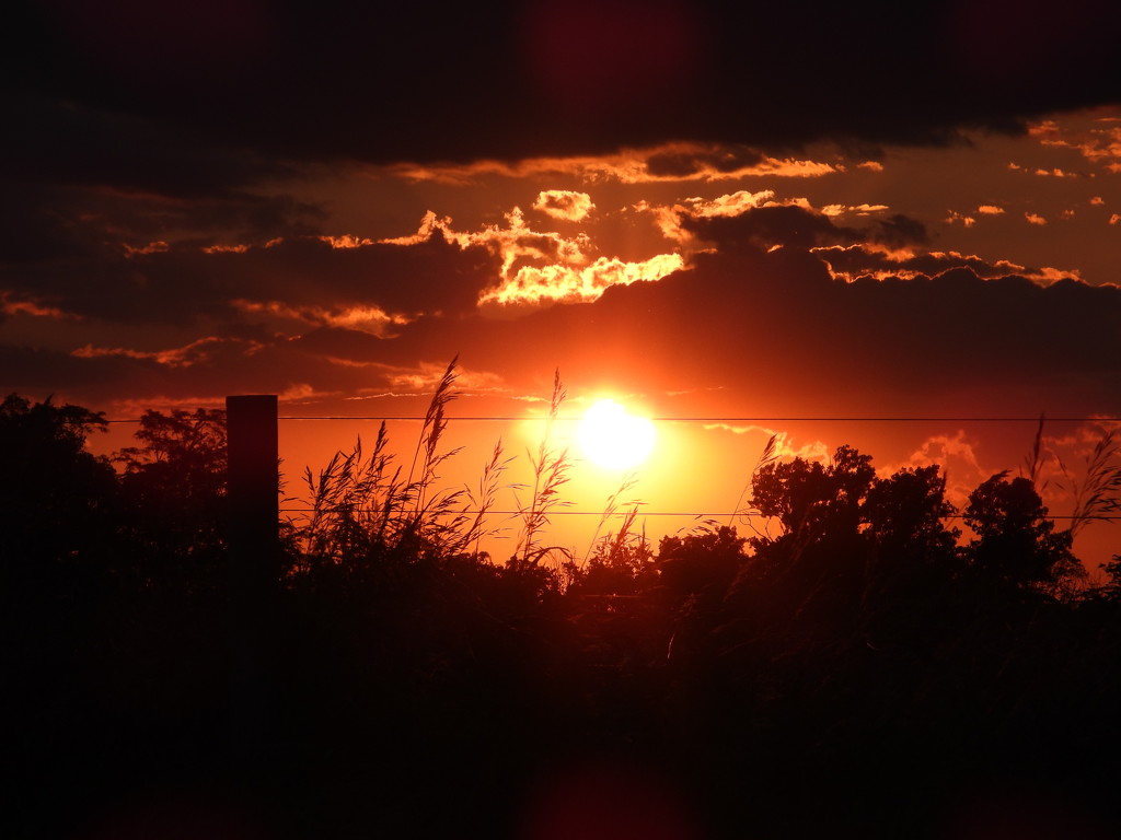 Sunset Shot by lynnz