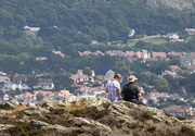 25th Jun 2019 - On Conwy Mountain