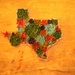 Texas by judyc57