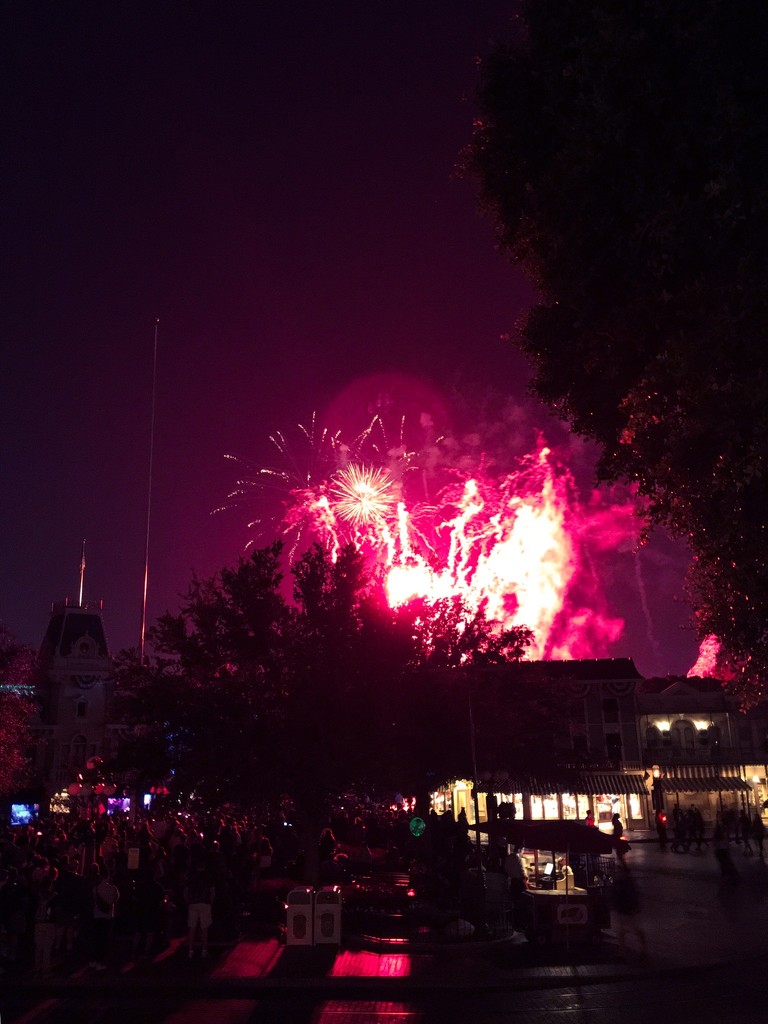 Disneyland Fireworks  by clay88