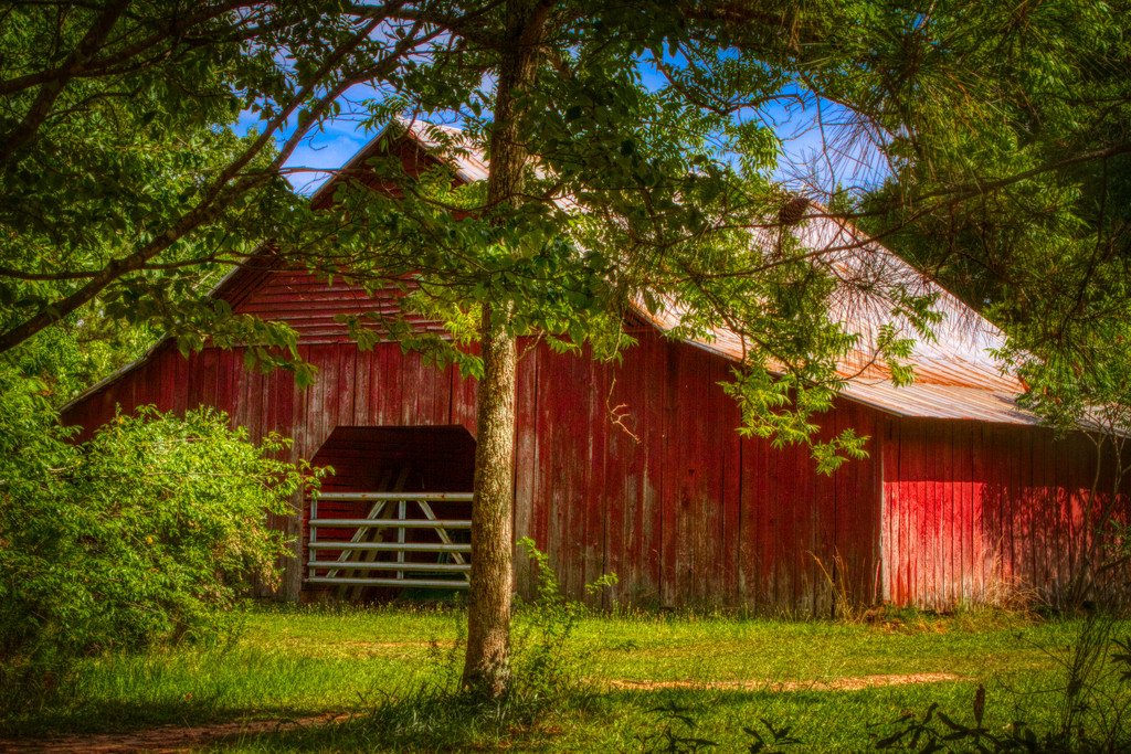 Red Barn by kvphoto