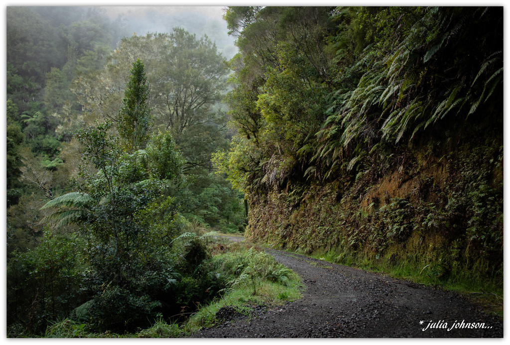 Mystical Kiwi Road... by julzmaioro