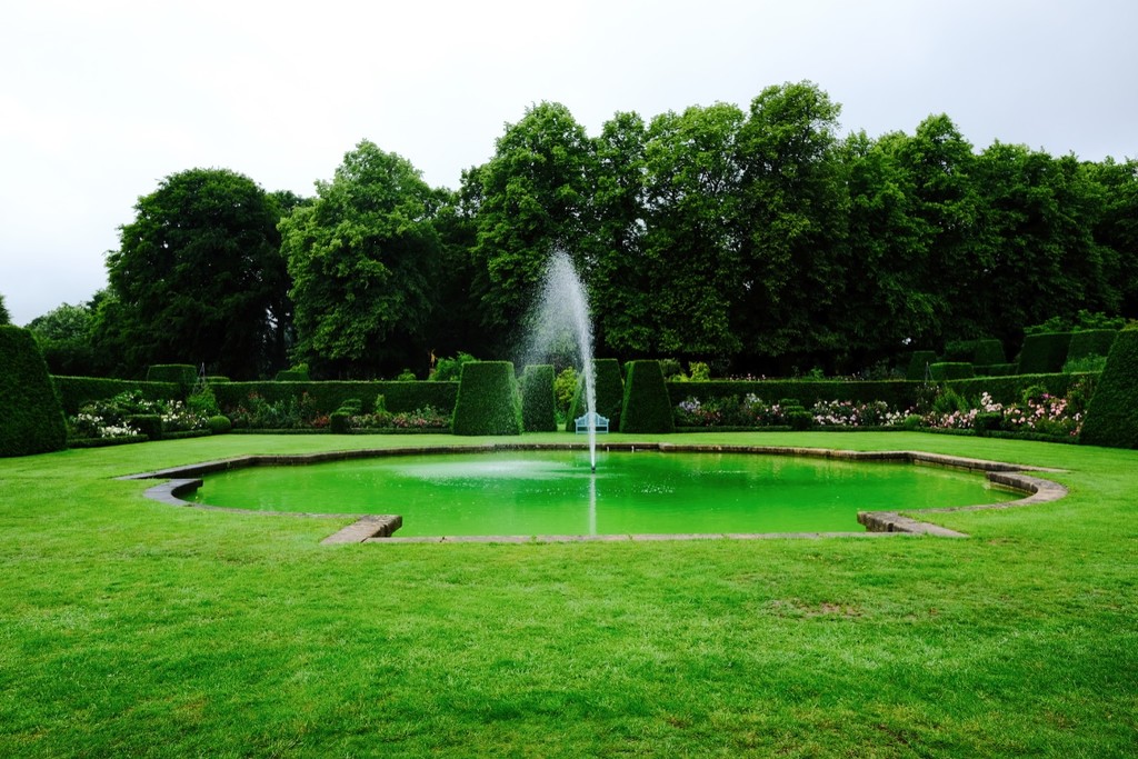 Green Pond by allsop