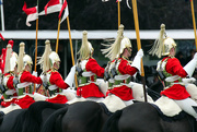 26th Jun 2019 - Household Cavalry Mounted Regiment Musical Ride