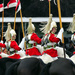 Household Cavalry Mounted Regiment Musical Ride by jeff