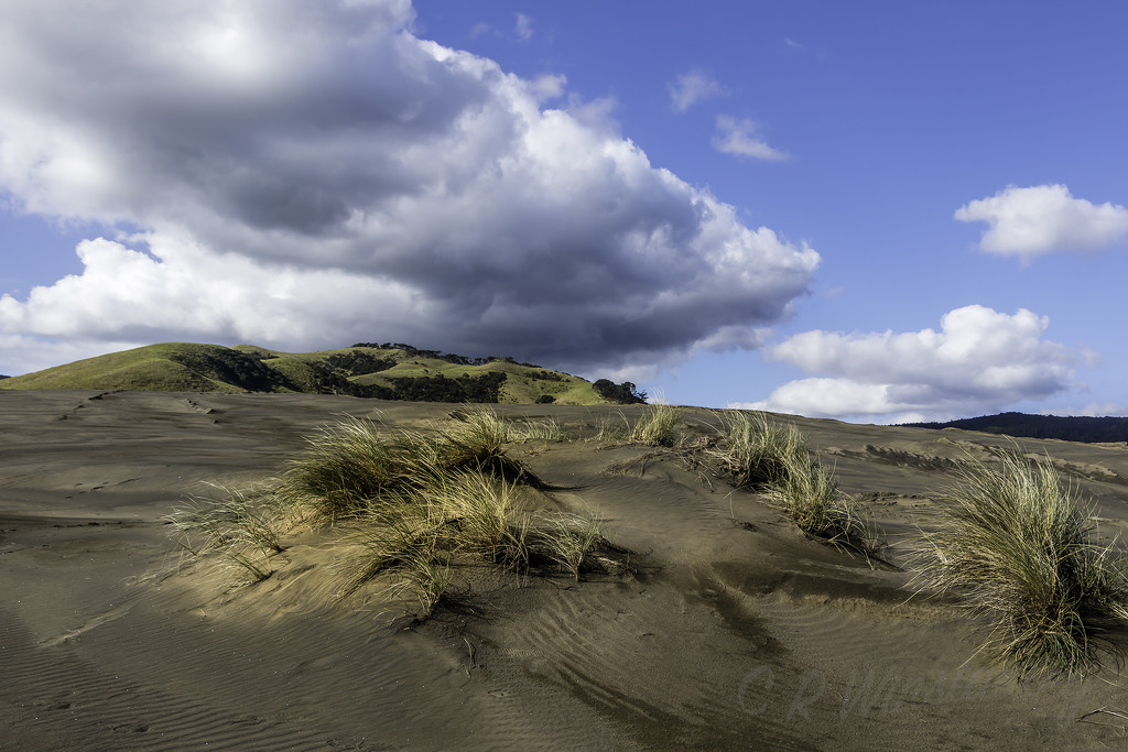 Into the Dunes by kipper1951