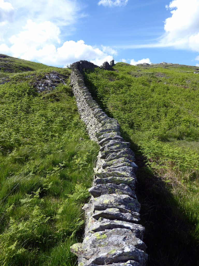 Drystone Wall by cmp