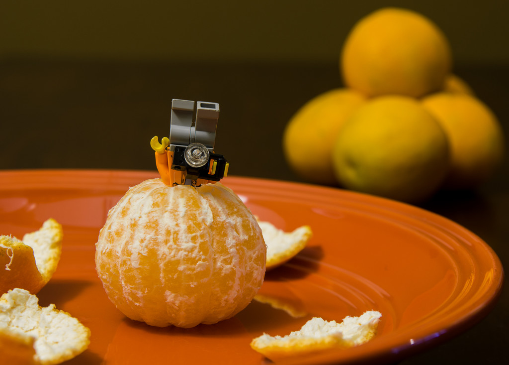 (Day 129) - Head of Orange by cjphoto