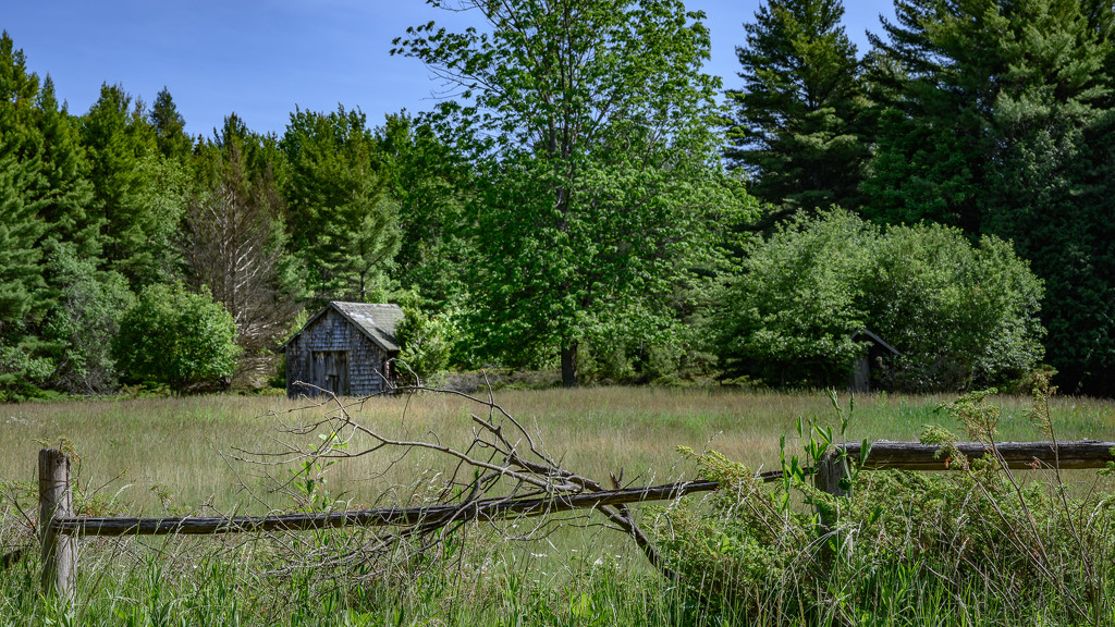 Old Shed on Barneys Lake Road by taffy