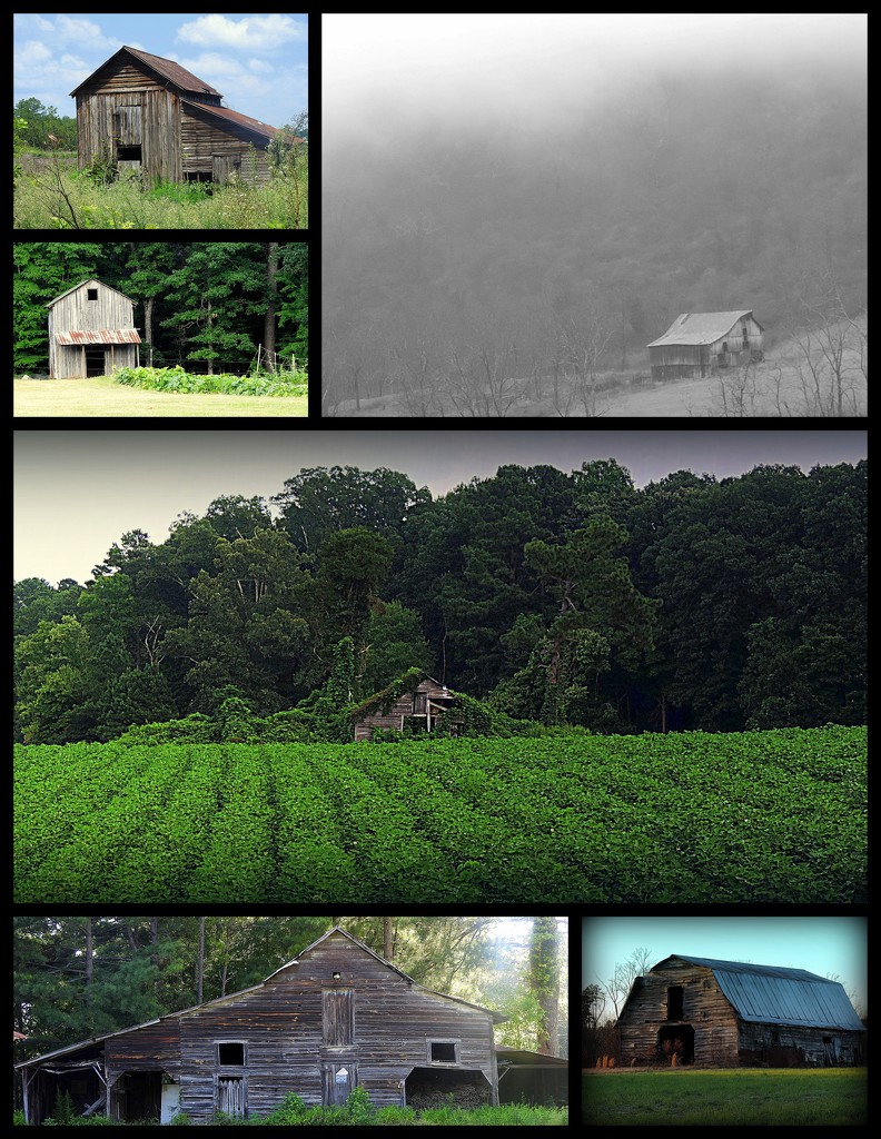 My favorite barns in a collage by homeschoolmom