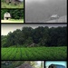 My favorite barns in a collage by homeschoolmom