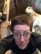 28th Jun 2019 - Goat Yoga