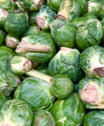 27th Jun 2019 - Brussels Sprouts