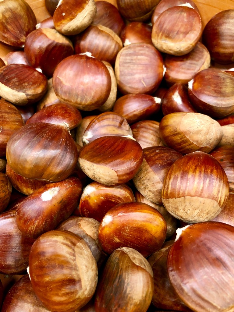 Chestnuts by kjarn