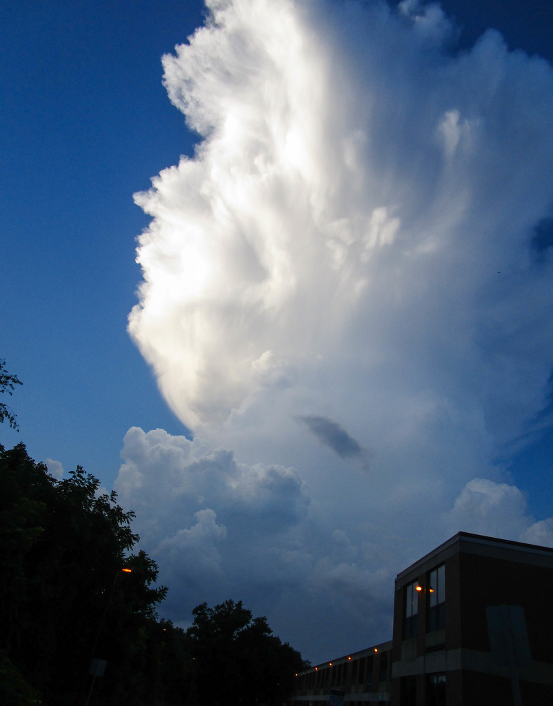 Impressive looking cloud by mittens
