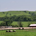 A Few Hay Bales in Kansas by genealogygenie