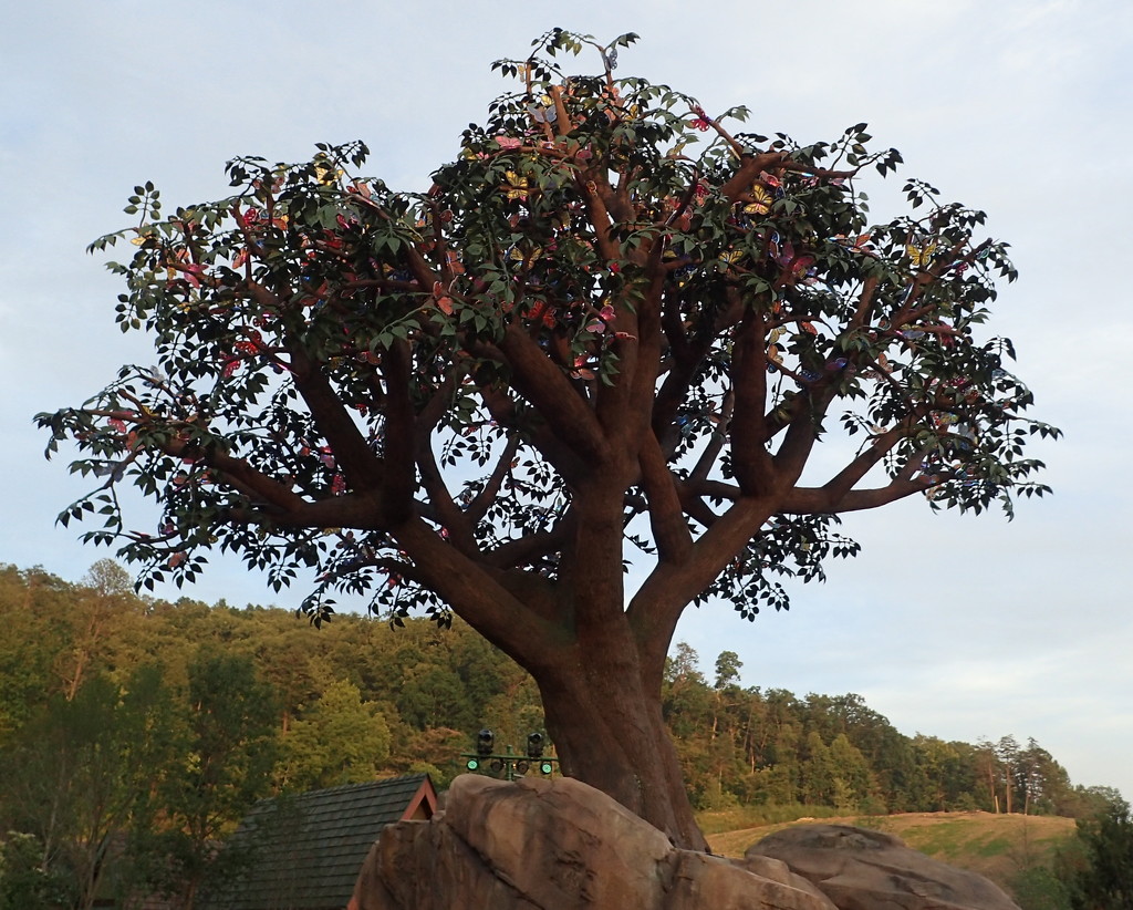 Butterfly Tree by cjwhite