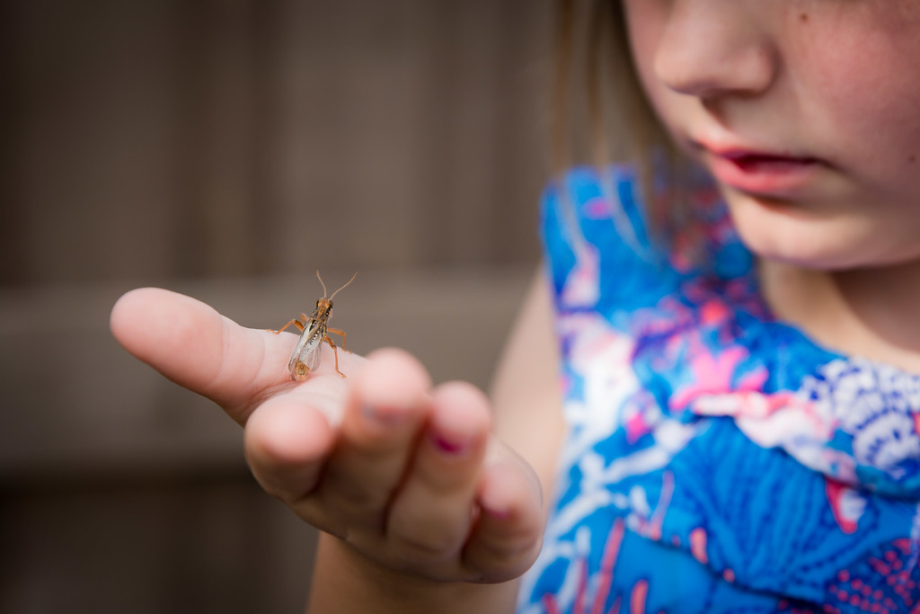 Finding Bugs in the Backyard by tina_mac