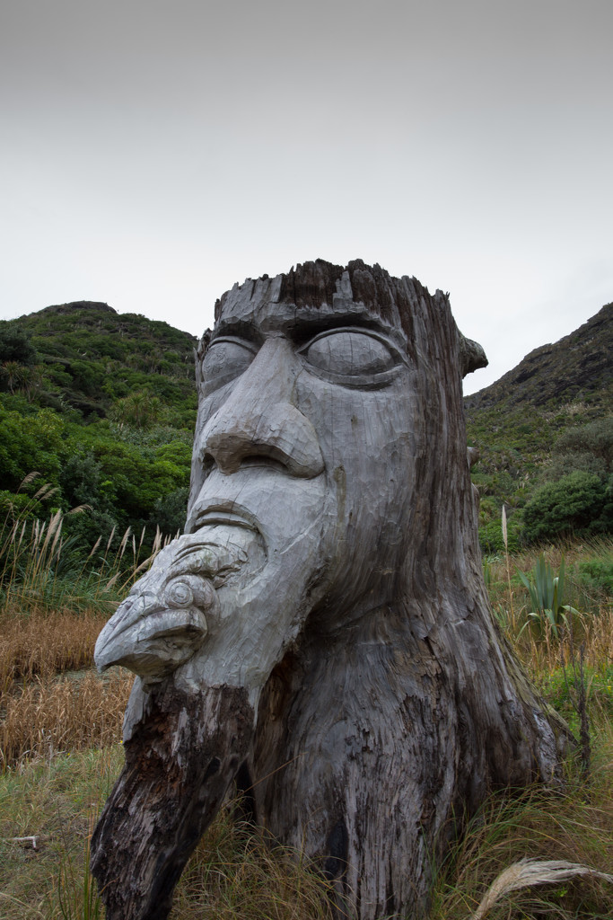 maori carving Anawhata by creative_shots
