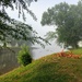 Fog on the Delaware  by wilkinscd