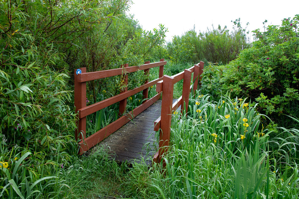 Footbridge by lifeat60degrees