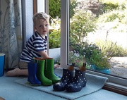 30th Jun 2019 - Welly boots morning 
