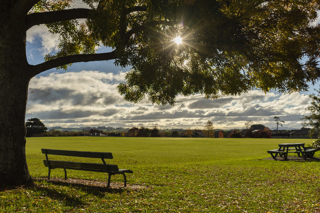 School Field by nickspicsnz