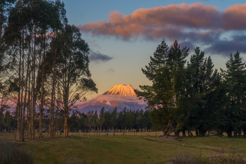 Mt Tongariro, National Park by creative_shots