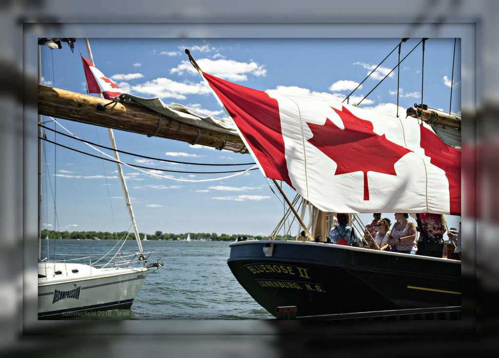 Canada day by summerfield
